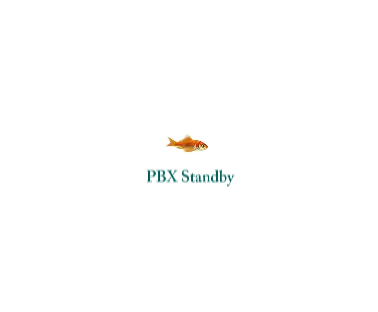 PBX-STANDBY (1-500)-0