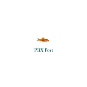 PBX-PORT (1-500)