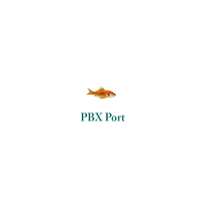 PBX-PORT (501-1000)