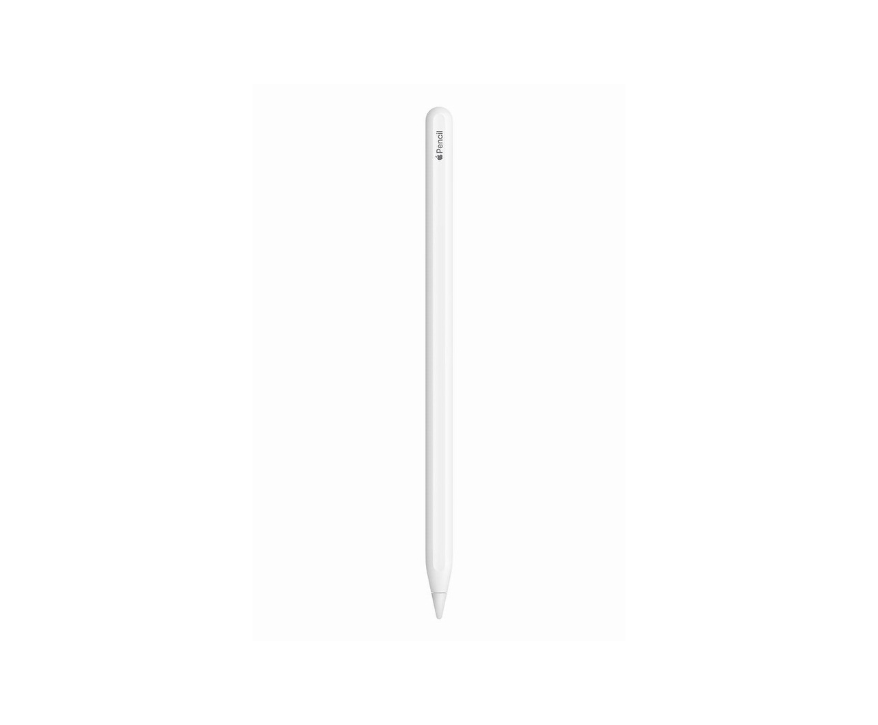 APPLE PENCIL (SECONDA GENERAZIONE)-0