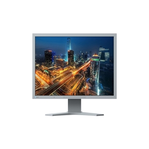 MONITOR FLEXSCAN S2133 - GRIGIO