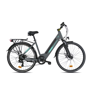 E-BIKE CITY ARIA 28 EMOTION