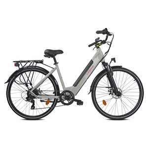 E-BIKE CITY ARIA DORINA